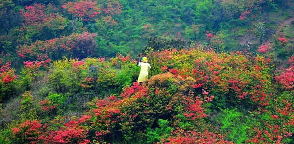 瀏陽大圍山國家森林公園