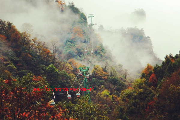 到張家界旅游是不是很累？要走很多山路嗎？適合帶老人小孩去嗎？