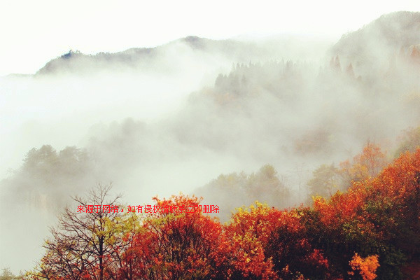 張家界天子山連綿冬雨現曠世云霧仙景