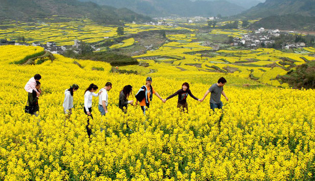 3月份去哪里旅游好_三月份適合去哪里旅游