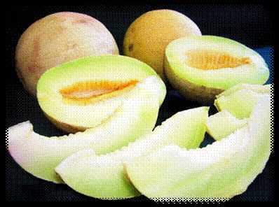 敦煌特產(chǎn)敦煌瓜