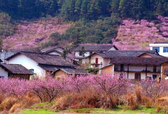 長沙周洛風景區