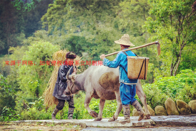 云南壩美村