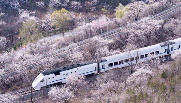 開往春天的列車 和諧號穿越花海