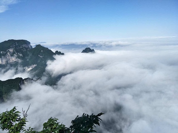 跟旅行社旅游團好還是自己自由行好？參團旅游的好處與壞處，你知道嗎