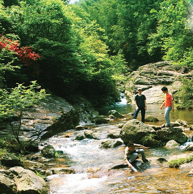 平江純溪小鎮門票,岳陽平江純溪小鎮門票價格