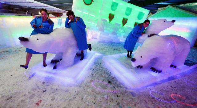 長沙三只熊冰雕館門票團購60元