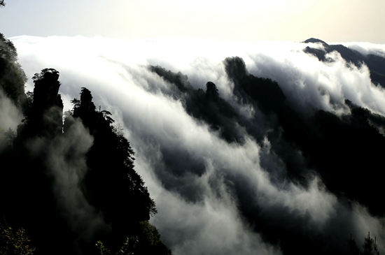 張家界武陵源核心景區(qū) 雨后出現(xiàn)壯觀的云瀑景觀