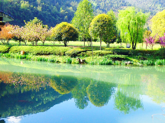 張家界春色 黃龍洞景區現七彩仙池美景