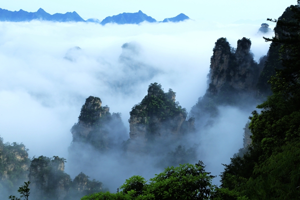 張家界楊家界旅游峰墻云海奇觀迷人