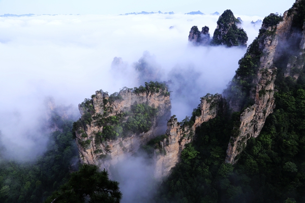 張家界楊家界旅游峰墻云海奇觀迷人