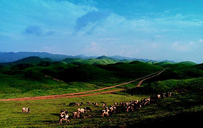 南山風景名勝區