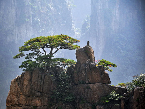 長沙到黃山看日出、千島湖(名山名水)火車五日游旅游