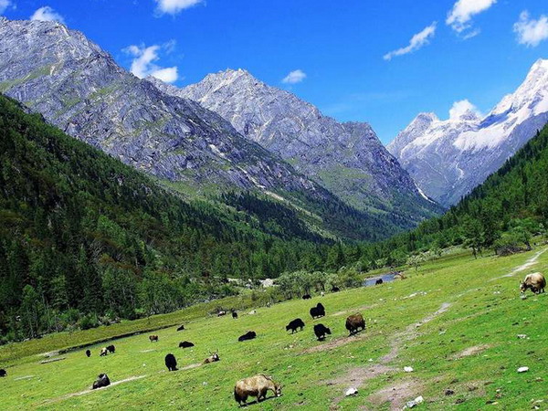 從長沙到四川四姑娘山-夾金山-成都雙飛5日游攝影旅游