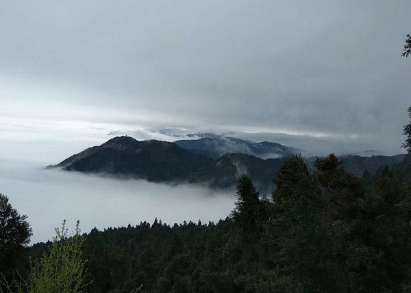 長沙到衡山一日游（含南岳衡山往返環保車或索道）