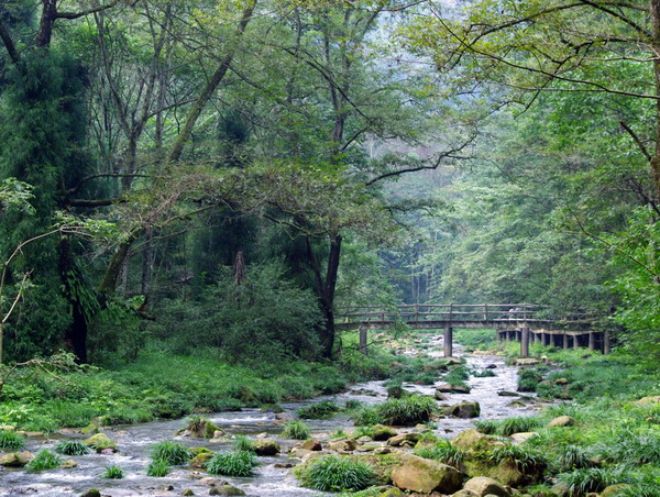 晚班長沙到張家界、天門山、鳳凰古城純玩五日游團購旅游(獨家