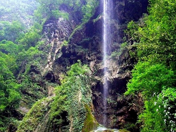 長(zhǎng)沙到武隆天生三橋-仙女山-黑山谷雙飛4日游旅