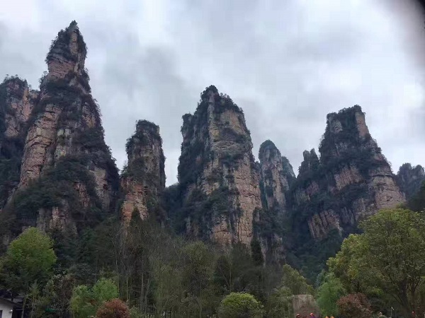 晚班長沙到張家界、天門山純玩四日游團購旅游(獨家贈送200元大禮包)