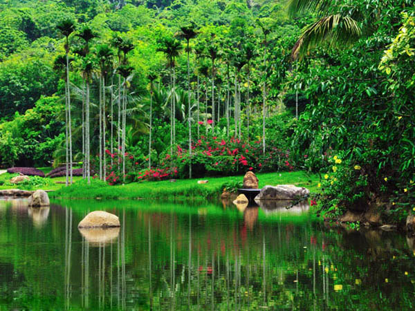 呀諾達(dá)雨林文化旅游區(qū)