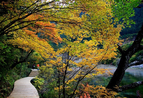 12月份旅游好去處