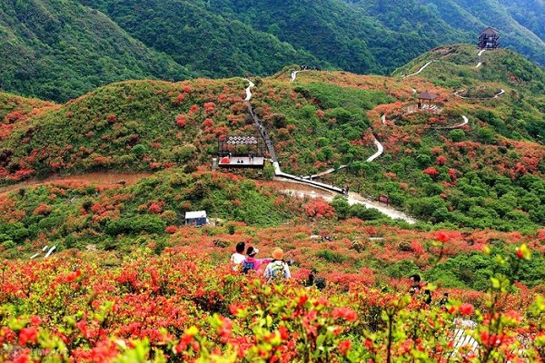 瀏陽大圍山國家森林公園