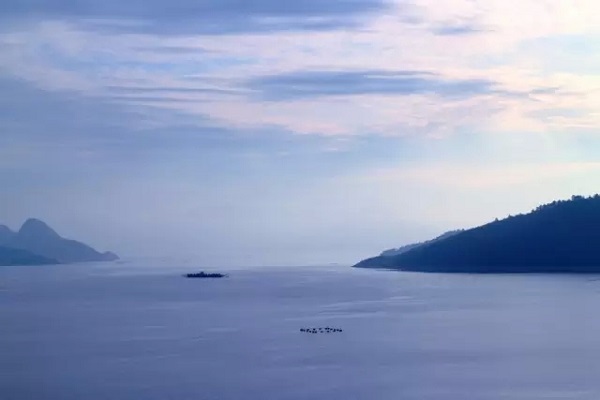 東江湖鳳凰島風景區