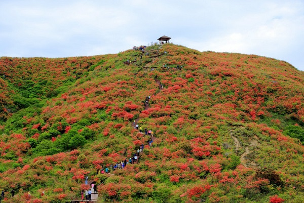 瀏陽大圍山國家森林公園