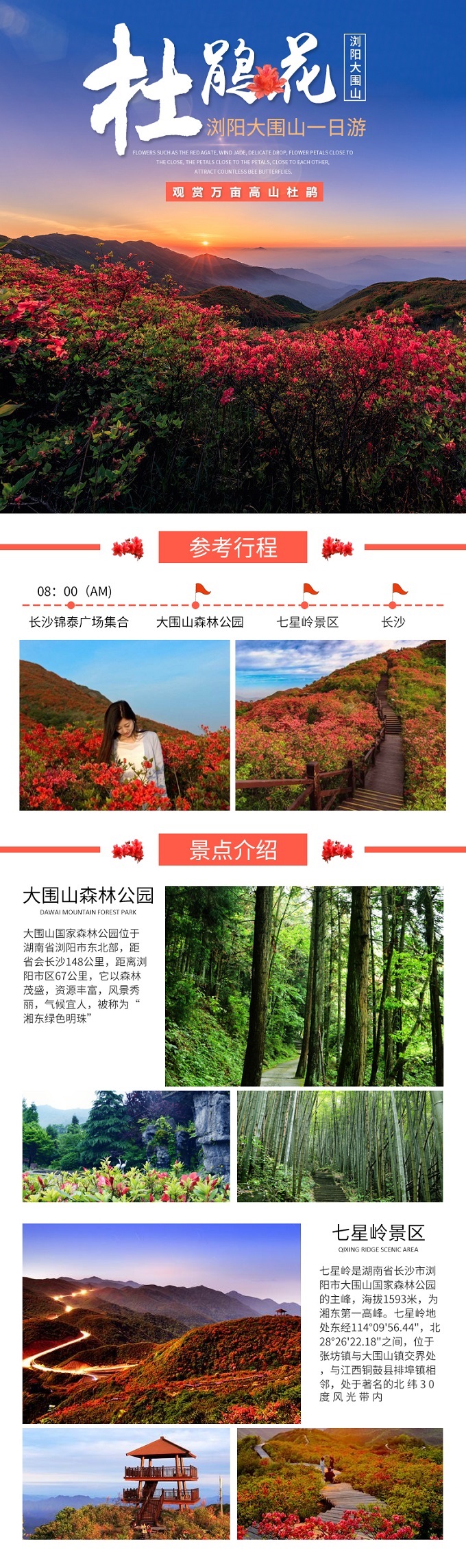 大圍山國家森林公園