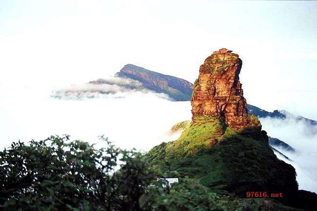 貴州梵凈山