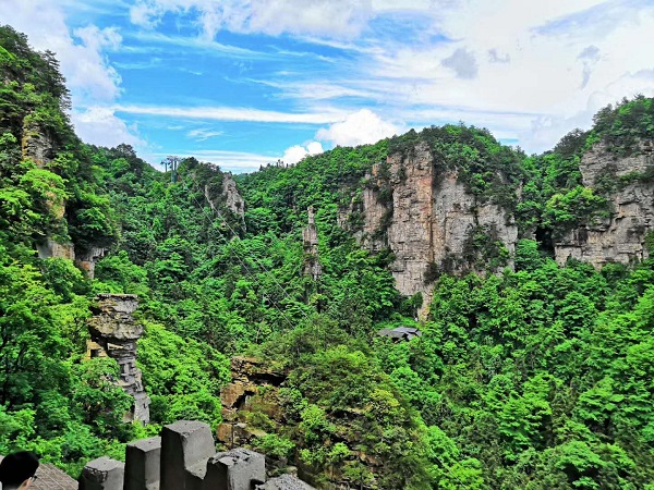 2025武陵源張家界國家森林公園門票價格、旅游攻略、有效時間及