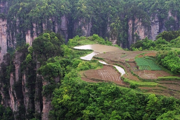 張家界春季風(fēng)景